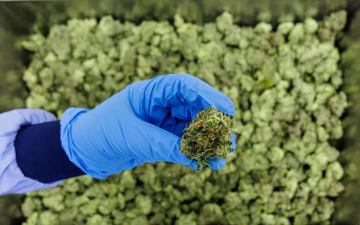 (Ảnh minh họa: AFP/Getty)