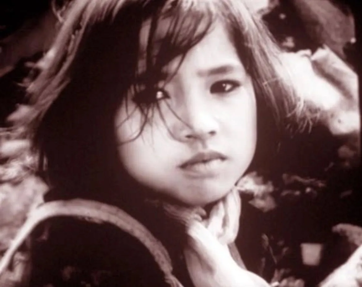 Trình chiếu, giới thiệu 10 bộ phim Việt Nam tại Hoa Kỳ - Ảnh 1.