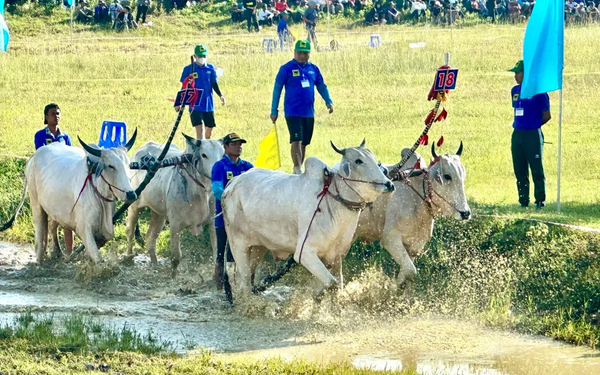 Du lịch An Giang: Một hành trình, bốn trải nghiệm- Ảnh 5.