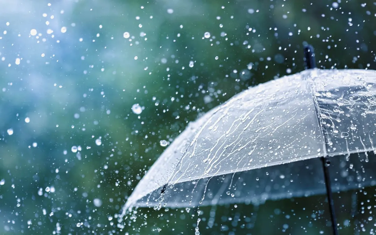 (Ảnh: Sykes Cottage)