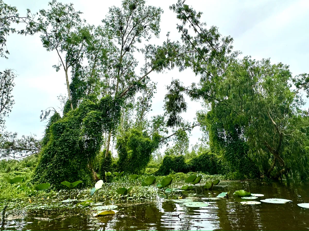 An Giang: điểm hẹn tâm linh và sinh thái của Đồng bằng sông Cửu Long- Ảnh 4.