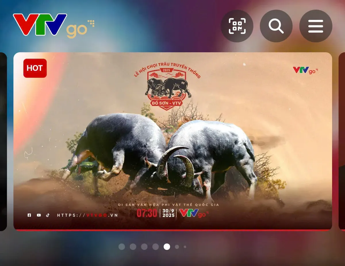 TRỰC TIẾP Lễ hội chọi trâu truyền thống Đồ Sơn 2025 trên VTVgo - Ảnh 1.