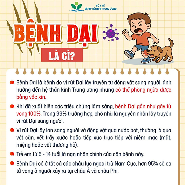 Vaccine phòng bệnh dại không gây hại- Ảnh 1.