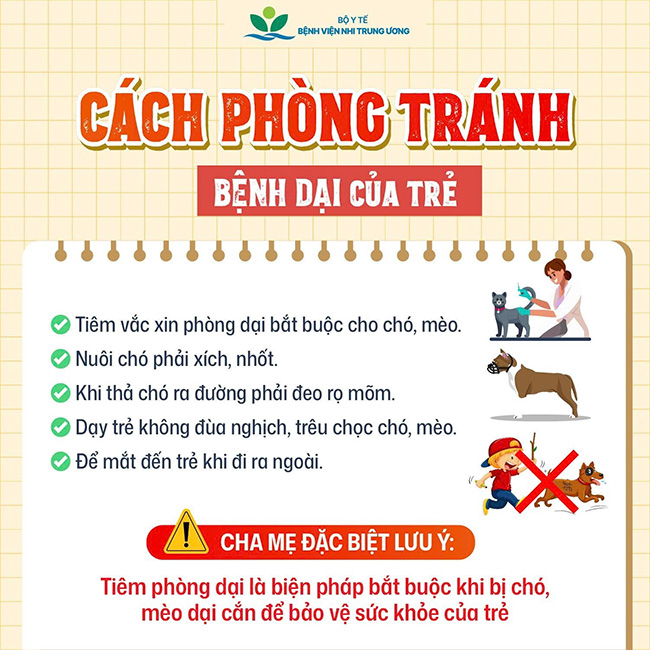 Vaccine phòng bệnh dại không gây hại- Ảnh 7.