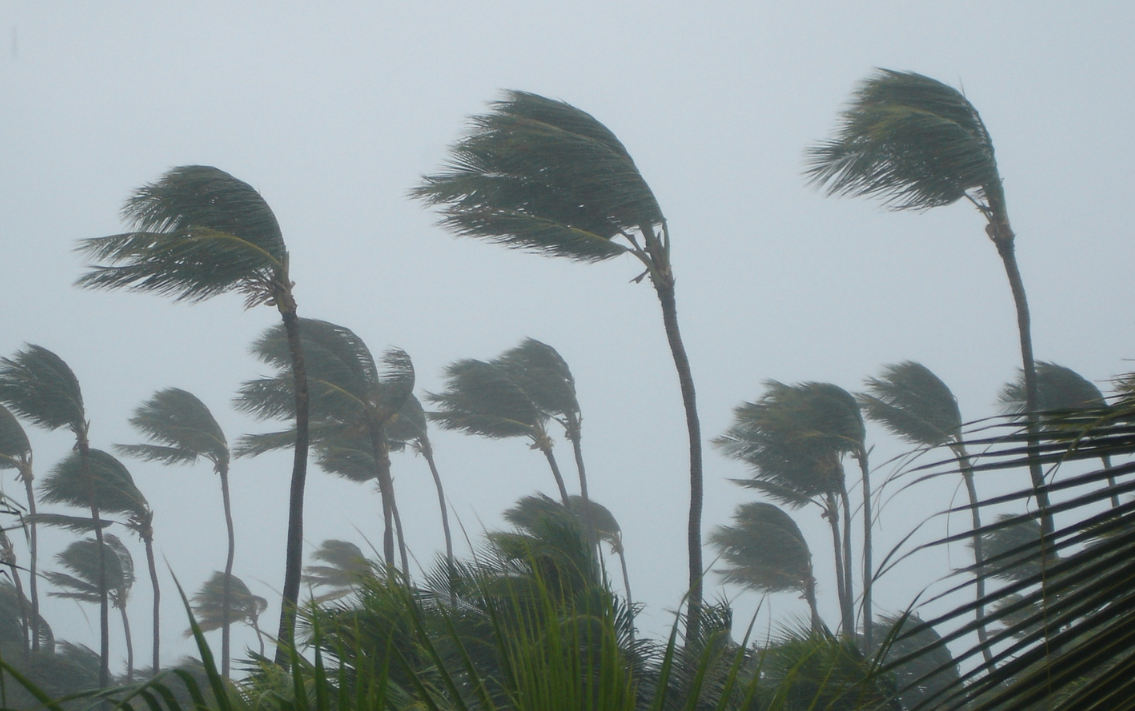 Ảnh minh họa: Getty Images