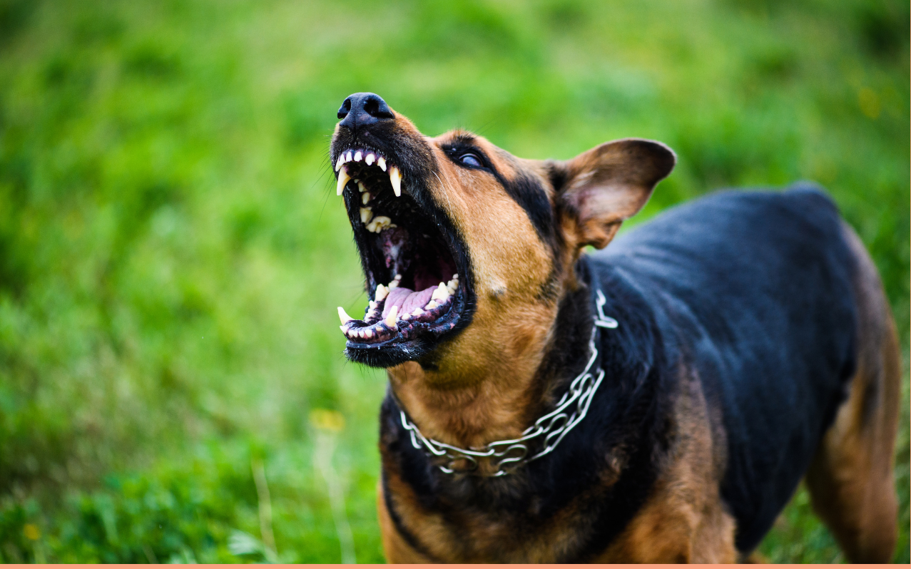 Ảnh minh họa: Getty Images