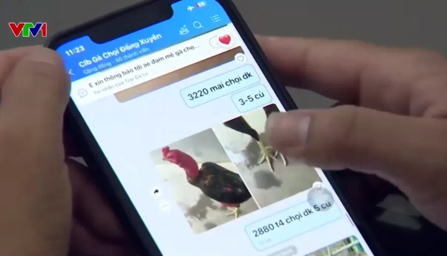 Triệt phá tụ điểm đánh bạc núp bóng đá gà ở Hà Nội, sát phạt hàng trăm triệu đồng - Ảnh 1.