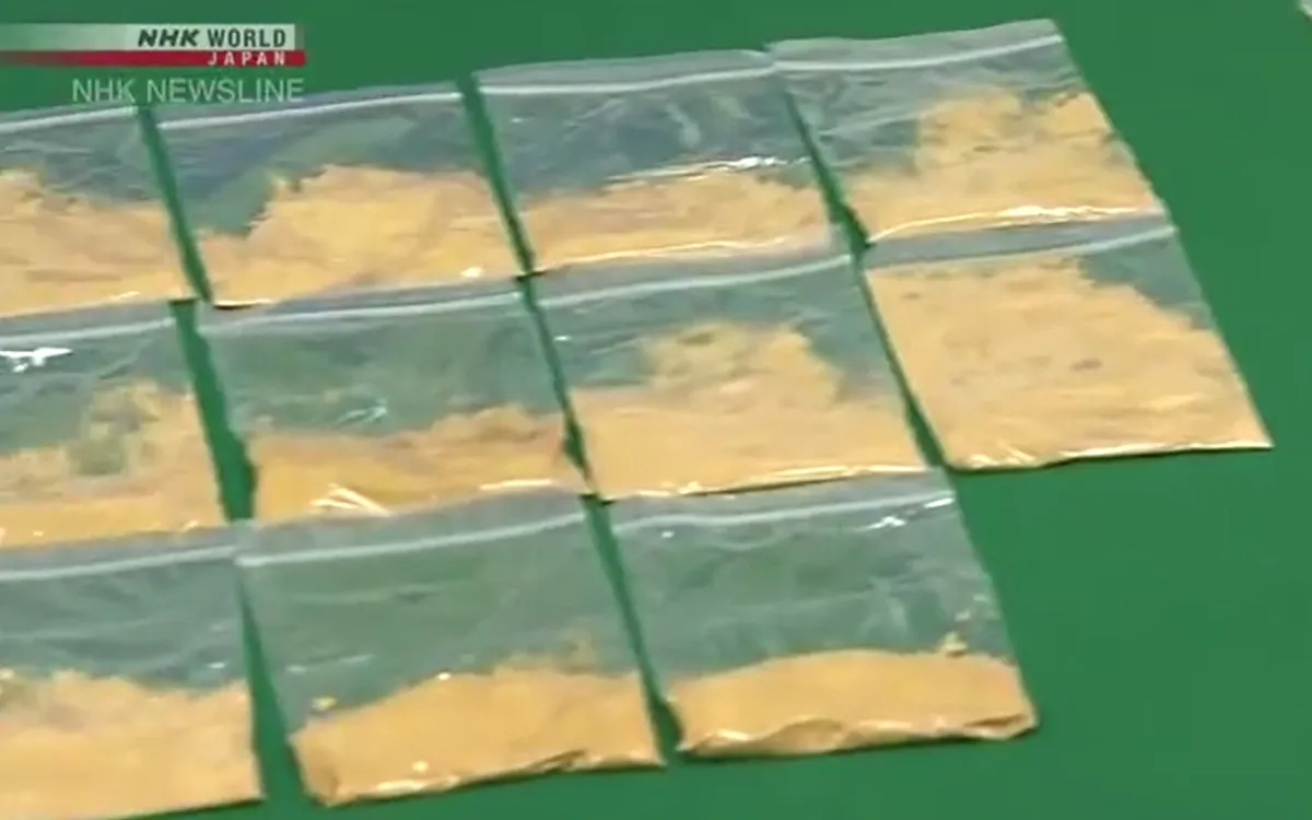Các túi nhỏ chứa vàng bột được giấu trong đồ lót trong chuyến bay từ Hong Kong (Trung Quốc) đến Nhật Bản (Ảnh: NHK)