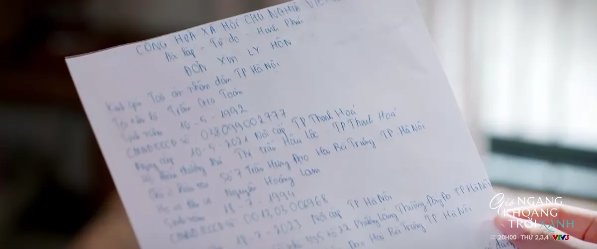 Gió ngang khoảng trời xanh - Tập 22: Toàn đưa đơn ly hôn - Ảnh 5.